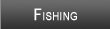 Willow Flowage Fishing